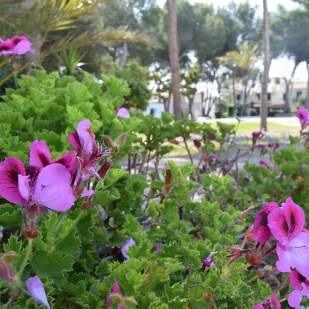 Appartement Brisas I & Ii Cala'N Bosch (Menorca)